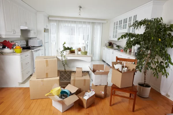 bigstock-Moving-boxes-in-new-house-New-88603739